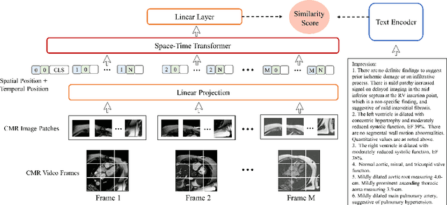 Figure 3 for Multimodal Representation Learning of Cardiovascular Magnetic Resonance Imaging