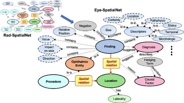 Figure 3 for Eye-SpatialNet: Spatial Information Extraction from Ophthalmology Notes