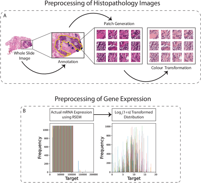 Figure 1 for hist2RNA: An efficient deep learning architecture to predict gene expression from breast cancer histopathology images