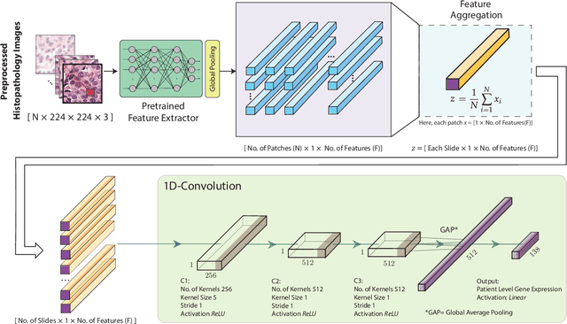 Figure 3 for hist2RNA: An efficient deep learning architecture to predict gene expression from breast cancer histopathology images