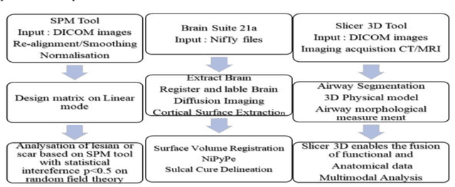 Figure 1 for Evaluating the anticipated outcomes of MRI seizure image from open-source tool- Prototype approach