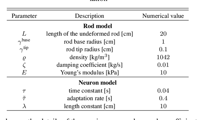 Figure 2 for Modeling the Neuromuscular Control System of an Octopus Arm