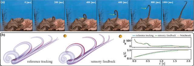Figure 4 for Modeling the Neuromuscular Control System of an Octopus Arm