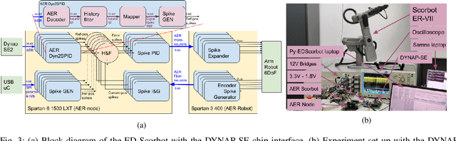 Figure 3 for Towards hardware Implementation of WTA for CPG-based control of a Spiking Robotic Arm