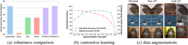 Figure 1 for Rethinking the Effect of Data Augmentation in Adversarial Contrastive Learning
