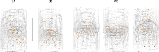 Figure 1 for Beyond Multilayer Perceptrons: Investigating Complex Topologies in Neural Networks