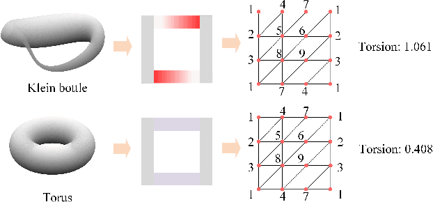 Figure 1 for Torsion Graph Neural Networks