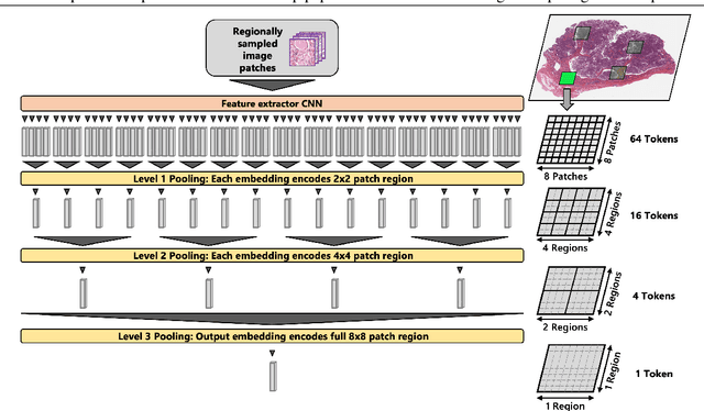 Figure 4 for Towards Hierarchical Regional Transformer-based Multiple Instance Learning