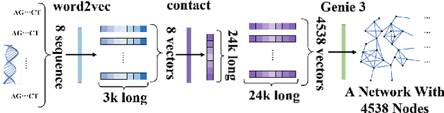 Figure 3 for Efficient Cavity Searching for Gene Network of Influenza A Virus