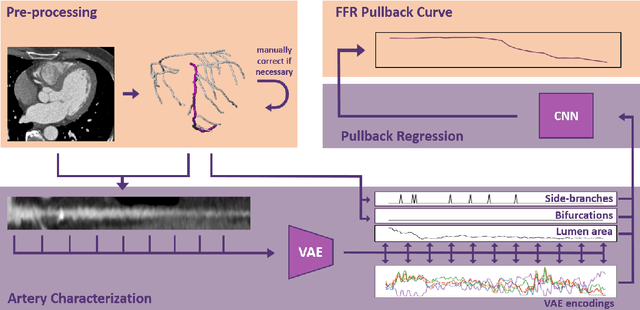 Figure 1 for Deep Learning-Based Prediction of Fractional Flow Reserve along the Coronary Artery