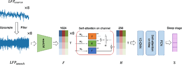 Figure 1 for Automatic Sleep Stage Classification with Cross-modal Self-supervised Features from Deep Brain Signals