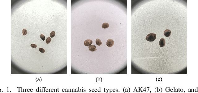 Figure 1 for Cannabis Seed Variant Detection using Faster R-CNN