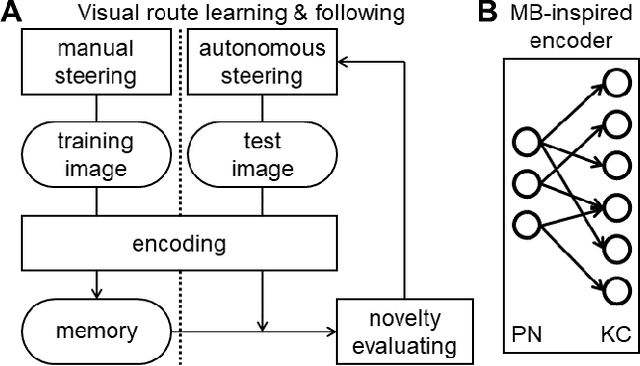 Figure 1 for Vision-based route following by an embodied insect-inspired sparse neural network