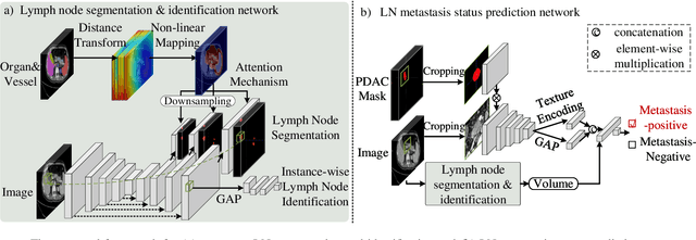 Figure 2 for A deep local attention network for pre-operative lymph node metastasis prediction in pancreatic cancer via multiphase CT imaging