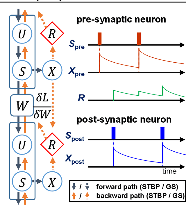 Figure 1 for Gradient Scaling on Deep Spiking Neural Networks with Spike-Dependent Local Information