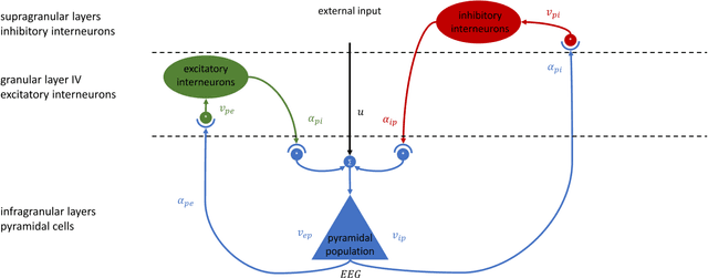 Figure 1 for Brain Model State Space Reconstruction Using an LSTM Neural Network