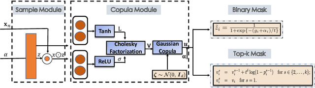 Figure 3 for Copula for Instance-wise Feature Selection and Ranking