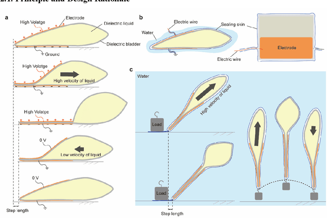 Figure 1 for An Amphibious Fully-Soft Miniature Crawling Robot Powered by Electrohydraulic Fluid Kinetic Energy