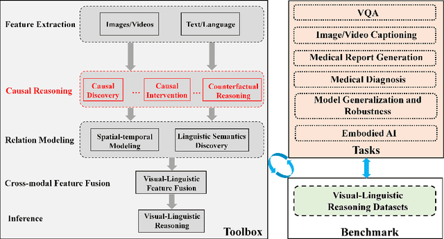Figure 1 for CausalVLR: A Toolbox and Benchmark for Visual-Linguistic Causal Reasoning