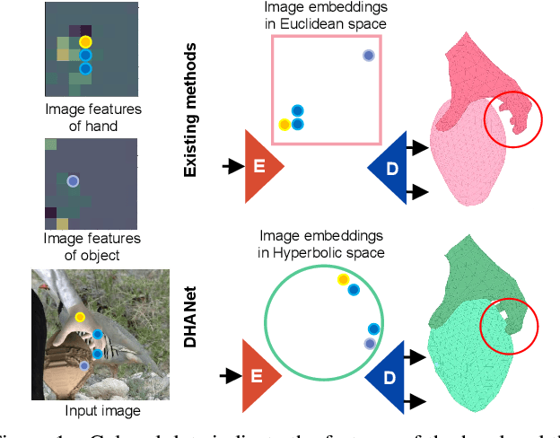 Figure 1 for Dynamic Hyperbolic Attention Network for Fine Hand-object Reconstruction