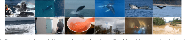 Figure 4 for Navigating an Ocean of Video Data: Deep Learning for Humpback Whale Classification in YouTube Videos