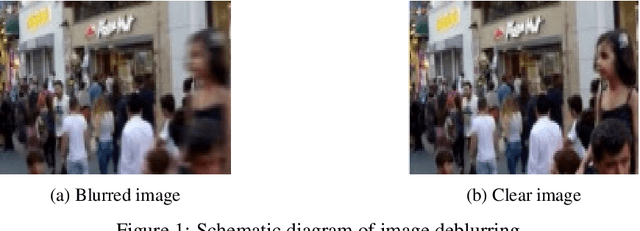 Figure 1 for A Survey on Image Deblurring