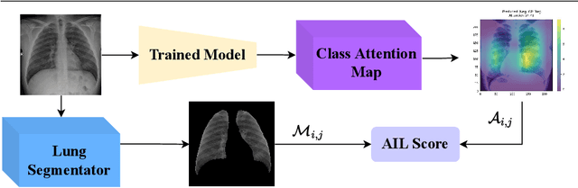 Figure 3 for Self-Supervised Curricular Deep Learning for Chest X-Ray Image Classification