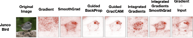 Figure 2 for Is Task-Agnostic Explainable AI a Myth?