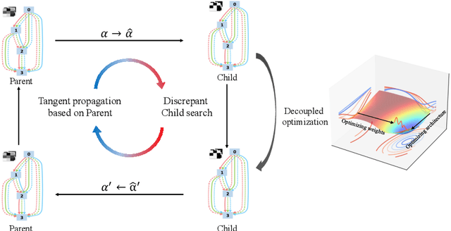 Figure 4 for DCP-NAS: Discrepant Child-Parent Neural Architecture Search for 1-bit CNNs