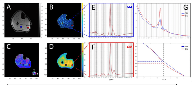 Figure 2 for Validation of apparent intra-and extra-myocellular lipid content indicator using spiral spectroscopic imaging at 3T
