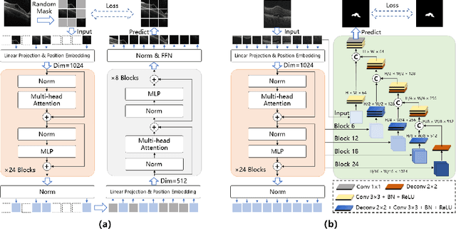 Figure 3 for Annotation-efficient learning for OCT segmentation