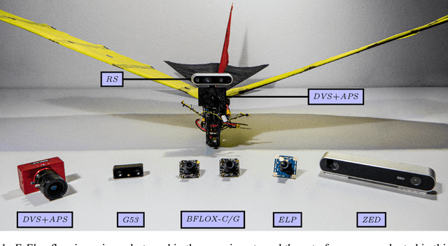 Figure 1 for A Comparison between Frame-based and Event-based Cameras for Flapping-Wing Robot Perception