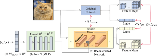 Figure 1 for NeRN -- Learning Neural Representations for Neural Networks