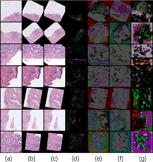 Figure 4 for Robust Deep Learning Models Against Semantic-Preserving Adversarial Attack