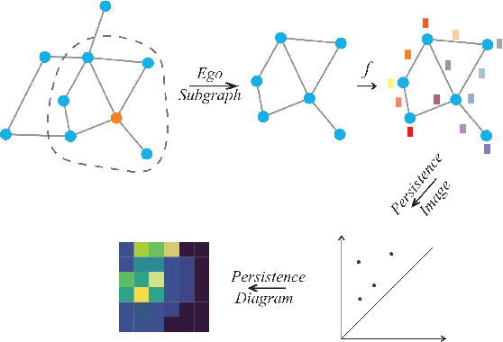 Figure 1 for Alleviating neighbor bias: augmenting graph self-supervise learning with structural equivalent positive samples