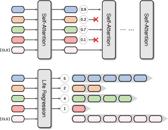 Figure 1 for Life Regression based Patch Slimming for Vision Transformers