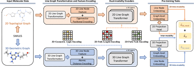 Figure 1 for Geometry-aware Line Graph Transformer Pre-training for Molecular Property Prediction