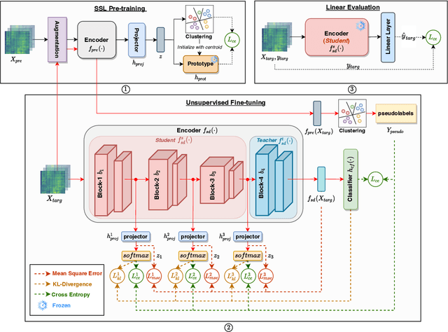 Figure 1 for UNFUSED: UNsupervised Finetuning Using SElf supervised Distillation