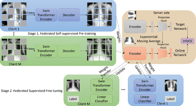 Figure 2 for SelfFed: Self-supervised Federated Learning for Data Heterogeneity and Label Scarcity in IoMT