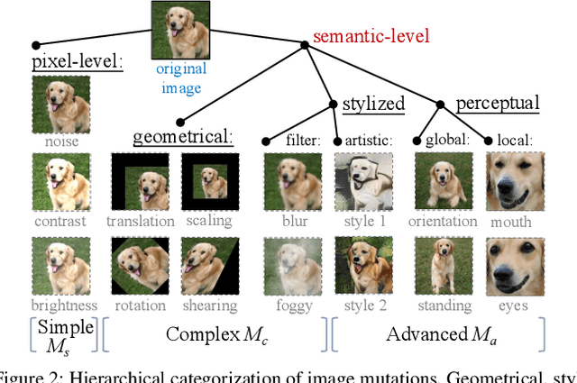 Figure 3 for Precise and Generalized Robustness Certification for Neural Networks