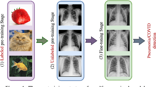 Figure 1 for DINO-CXR: A self supervised method based on vision transformer for chest X-ray classification