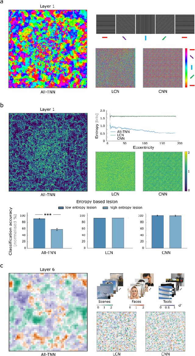 Figure 2 for End-to-end topographic networks as models of cortical map formation and human visual behaviour: moving beyond convolutions