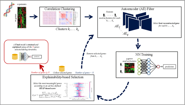 Figure 1 for A New Deep Learning and XAI-Based Algorithm for Features Selection in Genomics