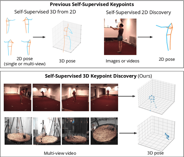 Figure 1 for BKinD-3D: Self-Supervised 3D Keypoint Discovery from Multi-View Videos