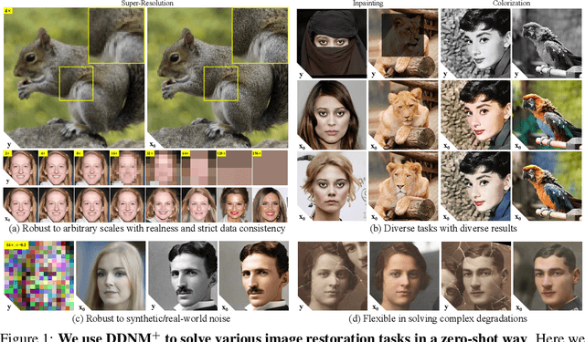 Figure 1 for Zero-Shot Image Restoration Using Denoising Diffusion Null-Space Model