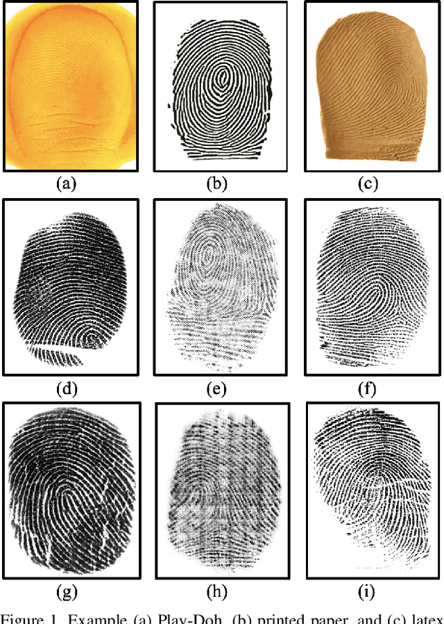 Figure 1 for ViT Unified: Joint Fingerprint Recognition and Presentation Attack Detection