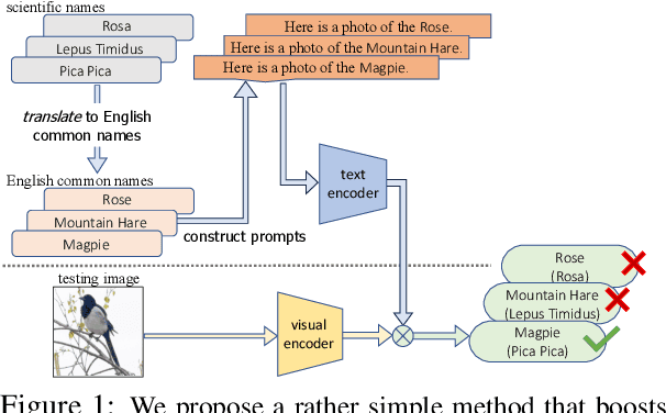 Figure 1 for Prompting Scientific Names for Zero-Shot Species Recognition