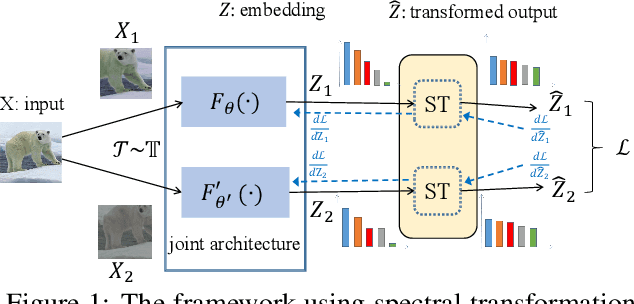 Figure 1 for Modulate Your Spectrum in Self-Supervised Learning