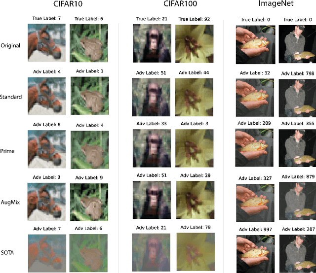 Figure 2 for Frequency-Based Vulnerability Analysis of Deep Learning Models against Image Corruptions