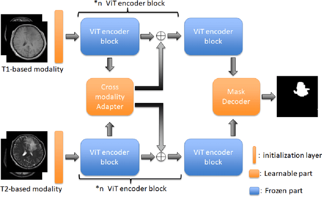 Figure 1 for Cross-modality Attention Adapter: A Glioma Segmentation Fine-tuning Method for SAM Using Multimodal Brain MR Images